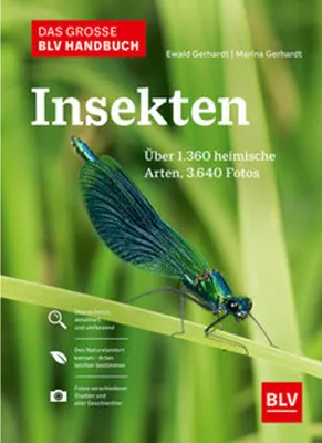 Immagine prodotto di Das große BLV Handbuch Insekten