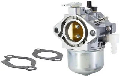 Immagine prodotto di Carburatore per tosaerba da 12,5 CV