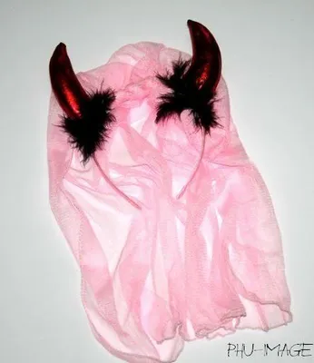 Produktbild von Hörner mit Schleier ROSA 1 Stk.