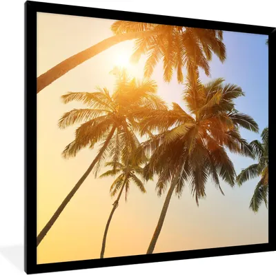 Produktbild von MuchoWow® Gerahmtes Poster Palme - Sonne - Sommer - Tropisch 40x40 cm - Poster mit Schwarzem Bilderrahmen Wandposter Rahmen Foto Bilder - Mit Rahmen - Wanddekoration Schlafzimmer