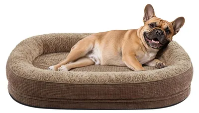 Image de Panier orthopédique pour chiens de taille moyenne, lavable et doux