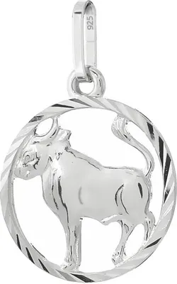 Produktbild von Stier Sternzeichen 925er Sterlingsilber 15mm Kettenanhänger Horoskop Zodiak 9162
