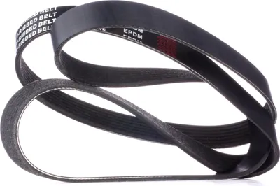 Produktbild von RIDEX Keilrippenriemen 1855mm für BMW 3 Touring (E91) 305P0416