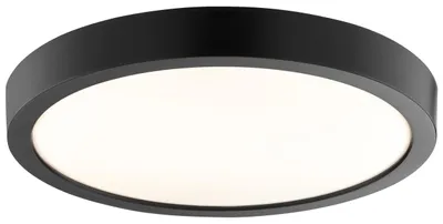 Produktbild von LED Deckenlampe - CTS - 2700/4000/6500K - Schwarz - Ø 28 cm