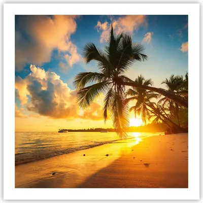 Produktbild von Poster - Poster ohne Rahmen - Meer Strand Palme - 60x60 cm - Wand Bild - Wanddeko - Wandbilder - Kunstposter - Wandposter - Bilder - Kunstdruck - Wanddekoration - Wandbild - P2XAC60x60-3922