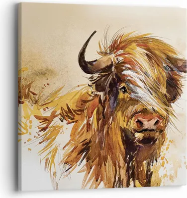 Produktbild von Bild auf Leinwand - Leinwandbild - Einteilig - Stier Scotch Aquarell - 40x40cm - Wand Bild - Wanddeko - Wandbilder - Leinwanddruck - Bilder - Wanddekoration - Leinwand bilder - Wandbild - AC40x40-4708