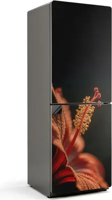 Zdjęcie produktu dla Delikatny kwiat w zbliżeniu - Magnetyczna osłona lodówki - Folia dekoracyjna magnetyczna do kuchni - Magnetyczna dekoracja lodówki - Samoprzylepna tablica magnetyczna - Folia magnetyczna na drzwi lodówki - 70x190 cm