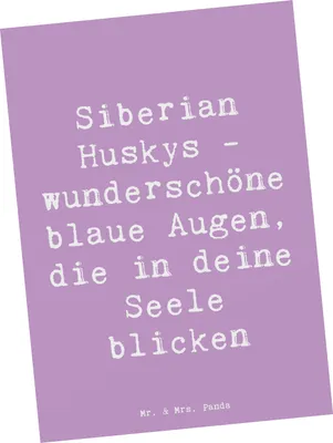 Produktbild von Mr. & Mrs. Panda Grußkarte Spruch Siberian Husky Augenzauber - Lavendeltraum - Geschenk, Ausdauer, einzelkarte, Seele, intelligent, Ansichtskarten, Hunderasse, Abenteuer