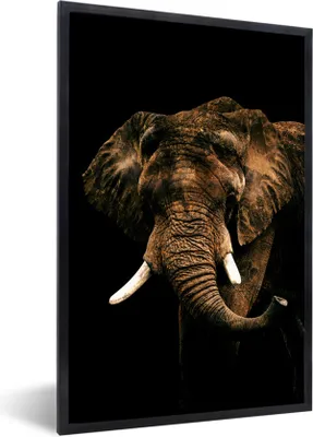 Produktbild von MuchoWow® MuchoWow® Gerahmtes Poster Elefant - Schwarz - Braun 20x30 cm - Poster mit zchwarzem Bilderrahmen - Drucken - Bilder Poster im Rahmen