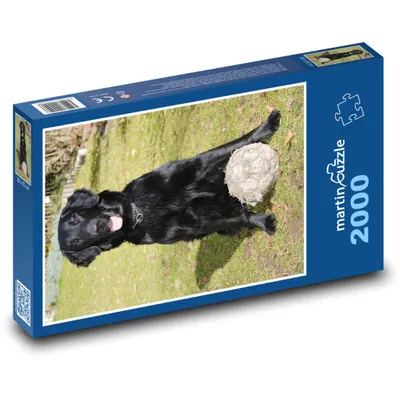 Zdjęcie produktu dla martinpuzzle - Puzzle 2000 - Zdjęcie piłkarza