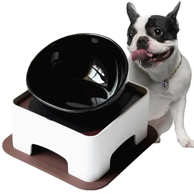 Produktbild von Keramik-Futternapf für Bulldoggen –150ml， Hundenapf breite Öffnung, steril, geneigt, rutschfeste Gummimatte, kleine/mittelgroße Hunde (schwarz)