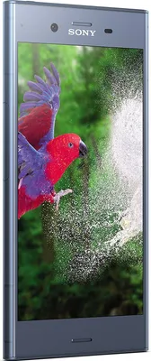 A Sony Xperia XZ1 smartphone displaying a vibrant wallpaper of a parrot in flight with water splashing.