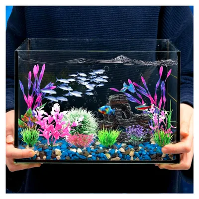 Produktbild von Aquariumzubehör, Kunststoffpflanzen und Höhlenfelsen für Aquarien, 10 Stück
