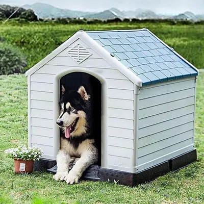 Produktbild von Hundehütte, Hundehaus aus Kunststoff, Hundehöhle mit Erhöhtem Boden & Wasserfestem Dach, Haustierhütte Hundehöhle, für Garten Drinnen Draußen, Blau+Weiß (70x65x71,5cm)