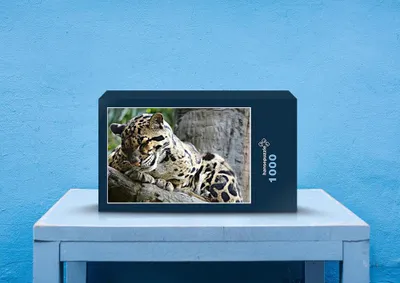 Produktbild von hansepuzzle 77362 - Leopard Puzzle, 1000 Teile, Natur, 60,0 x 46,0cm mit hochwertiger Aufbewahrung, Kartonbox und wiederverschließbarem Beutel