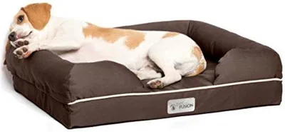 Produktbild von Kleines Hundebett mit 6,3 cm dickem Traumschaum