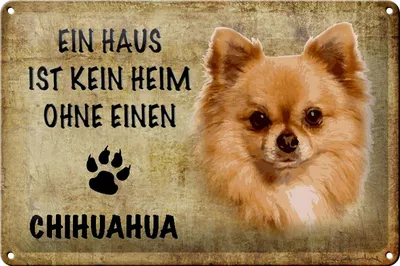 Produktbild von Blechschild Spruch 30x20cm Chihuahua Hund ohne kein Heim