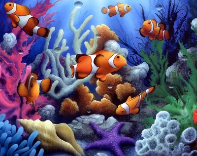 Produktbild von Malen nach Zahlen 5d Diamond Painting Clownfische Meer Malen nach Zahlen 30x40cm