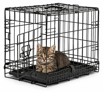 Image de lionto Cage de transport pour chats en métal, stable & pliable avec cloison & bac de fond en plastique, 45x31x36 cm