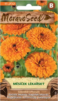 Immagine prodotto di Calendula 71730