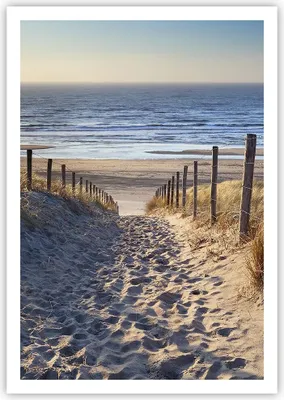 Produktbild von Poster - Poster ohne Rahmen - Meer Strand Düne - 70x100 cm - Wand Bild - Wanddeko - Wandbilder - Kunstposter - Wandposter - Bilder - Kunstdruck - Wanddekoration - Wandbild - P2XPA70x100-3612