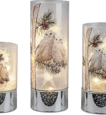 Produktbild von LED Lampe, Leuchte Zylinder WINTEREULEN auf Zweig H. 25cm silber Formano W25