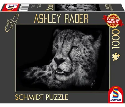 Obrázek produktu pro Schmidt Spiele 58542, 1000 kusů, Další, 12 rok/roky