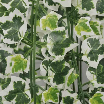 Zdjęcie produktu dla Sztuczny Bluszcz Kolorowy 2X 90 Cm Lumarko!