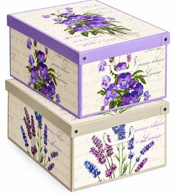 Imagen del producto de Lavatelli Set de 2 Cajas de Almacenaje Violetas y Lavanda, 39 x 50 x 24 cm