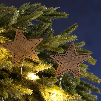 Produktbild von LED Lichterkette Holzsterne - 10 warmweiße LED - L: 0,90m - Batteriebetrieb - für Innen - natur