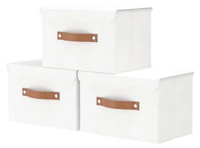 Produktbild von Aufbewahrungsbox mit Deckel, 38 x 25 x 25 cm, faltbare Stoffboxen, Aufbewahrungskörbe, Kleiderschrank