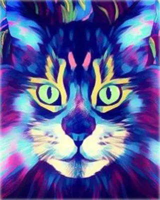 Produktbild von "Malen nach Zahlen: Neonkatze, 40x50 cm, auf Leinwand, gerahmt. Kreatives Bild."