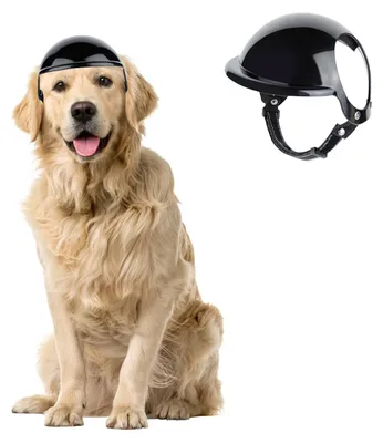 Productafbeelding van Omgoods - Verstelbare Hondenkap voor Grote Honden, Zwart