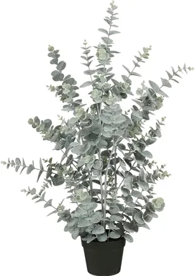 Productafbeelding van Mica Decorations Eucalyptus Kunstplant in Pot - H97 x Ø38 cm - Groen