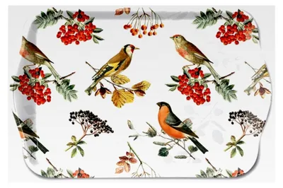 Produktbild von Tablett 13x21 cm Melamin mit Vögeln, Beeren und Zweigen