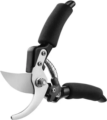 Image de Sécateur de jardin Titanium pour bois sec, haies et fleurs, diamètre de coupe max. 19 mm.