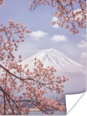 Produktbild von MuchoWow® Poster Frühling - Blüte - Berg 120x160 cm - Wandbilder