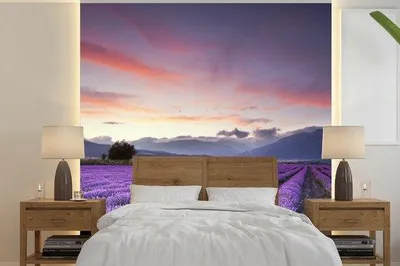 Produktbild von Lavendel-Fotobehang, 220 x 220 cm, Sonnenuntergang-Design