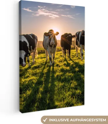 Produktbild von MuchoWow® - Leinwandbilder - Kühe - Sonne - Gras - Tiere - Bauernhof, Wandbild, Wanddeko Bilder Wohnzimmer, 80x120cm
