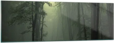 Produktbild von Bilder auf glas - Wald Nebel Baum - 160x50cm - Glasbilder - Wandbilder - Kunstdruck - zum Aufhängen bereit - Wanddekoration aus Glas - Glas Bilder - Wandbild auf Glas - Einteilig - GAB160x50-3543