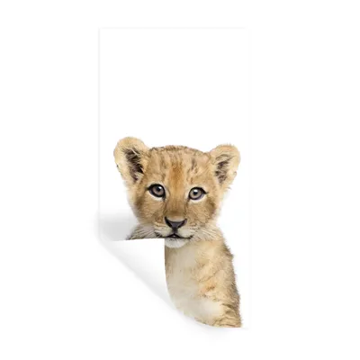 Produktbild von MuchoWow® Wandtattoo Wandsticker Wandaufkleber Löwe - Tiere - Natur - Weiß 40x80 cm Selbstklebend und Repositionierbar - Repositionierbar - Wasser abweisend