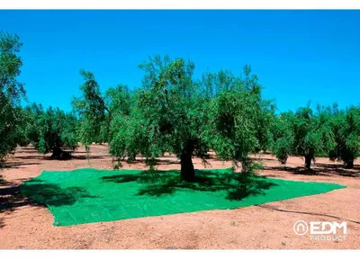 Immagine prodotto di Coperta per la raccolta della frutta 3x6m colore verde