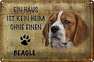 Produktbild von Blechschild Spruch 30x20cm Beagle Hund ohne kein Heim