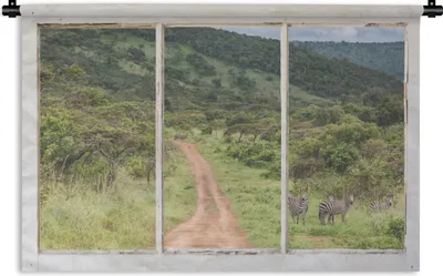 Produktbild von MuchoWow® Wandteppich Wandbehang Durchsichtig - Zebra - Tiere 90x60 cm Tapisserie Dekoration Wandtuch - Wandskulpturen - Bildteppich