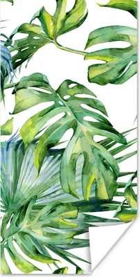 Produktbild von MuchoWow® Poster Monstera - Muster - Aquarell - Mädchen - Kinder - Jungen - Kinder 20x40 cm - Plakat - Foto