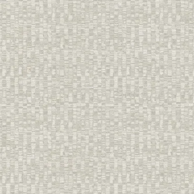 Produktbild von A.S. Creation | Antigua | 390923 | Vliestapete | Abstrakt | 10.05 x 0.53 m | Grau | Wohnzimmer | Flur | Büro | Küche | Wohnräume