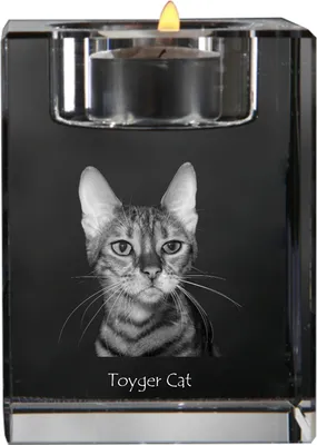 Obrázok produktu pre Art-Dog Svietnik na čajovú sviečku – Mačka Toyger