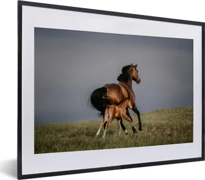 Produktbild von MuchoWow® MuchoWow® Gerahmtes Poster Tiere - Pferde - Fohlen 40x30 cm - Poster mit zchwarzem Bilderrahmen - Bilderrahmen - Poster im Rahmen