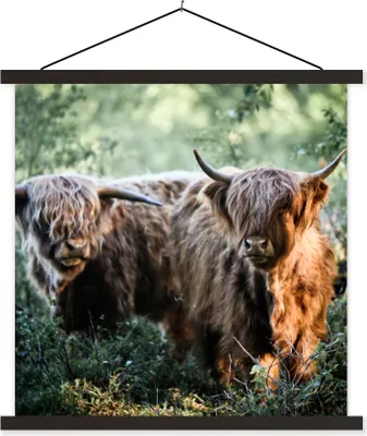 Produktbild von MuchoWow® Textilposter Schottische Hochlandrind - Wald - Tiere 90x90 cm mit schwarzem Rahmen - Magnetisches