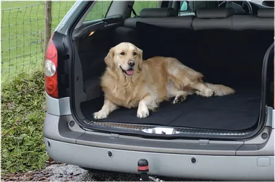 Produktbild von Beeztees Break Kofferraum Schutzdecke - Hund - 150x120 cm